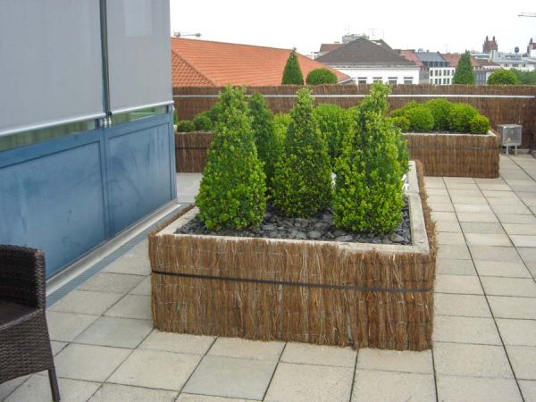 terrassen_buchs_bepflanzung_isar_klinikum
